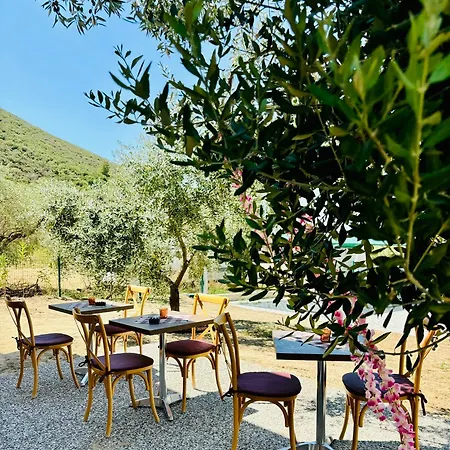 Casa Teresi Thassos بيت خشبي Prínos