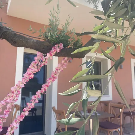 Alojamento de Turismo Selvagem Casa Teresi Thassos