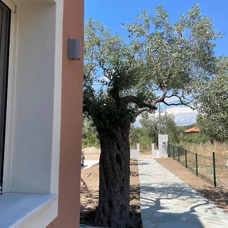 Casa Teresi Thassos بيت خشبي