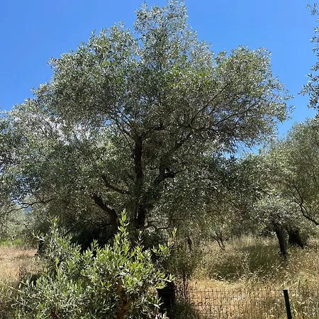 Casa Teresi Thassos بيت خشبي