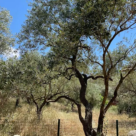 Casa Teresi Thassos بيت خشبي *