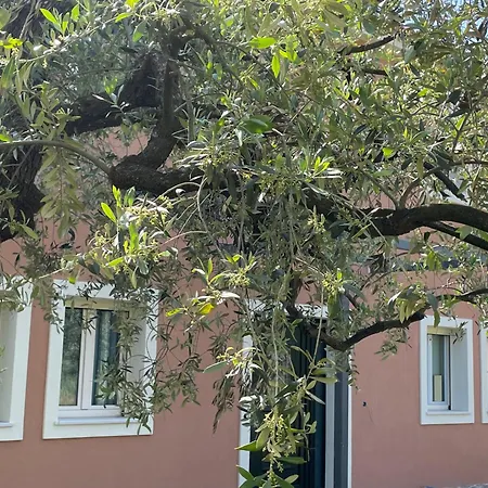 Casa Teresi Thassos ロッジ