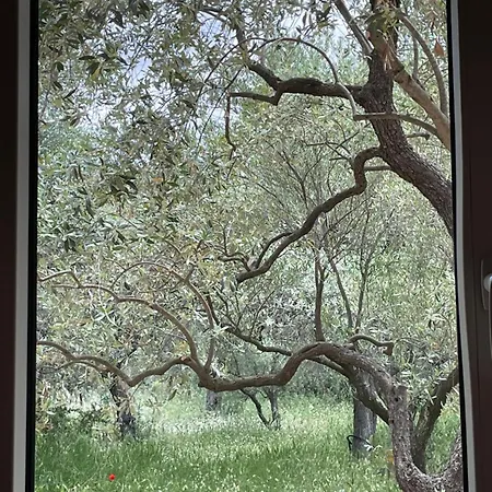 Casa Teresi Thassos * Prínos