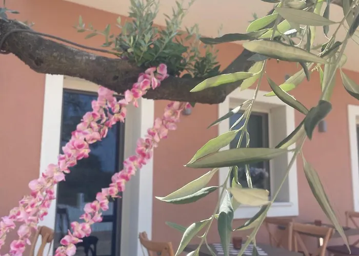 Alojamento de Turismo Selvagem Casa Teresi Thassos