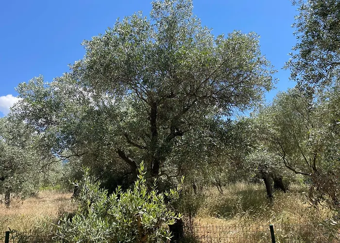 Casa Teresi Thassos 롯지