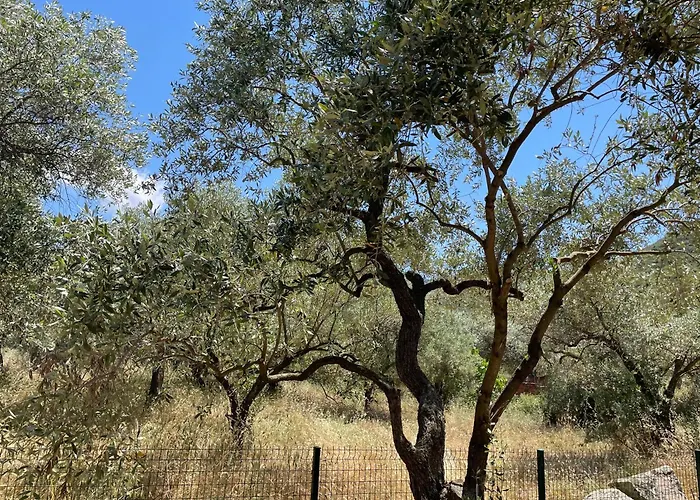 Casa Teresi Thassos Alojamento de Turismo Selvagem *