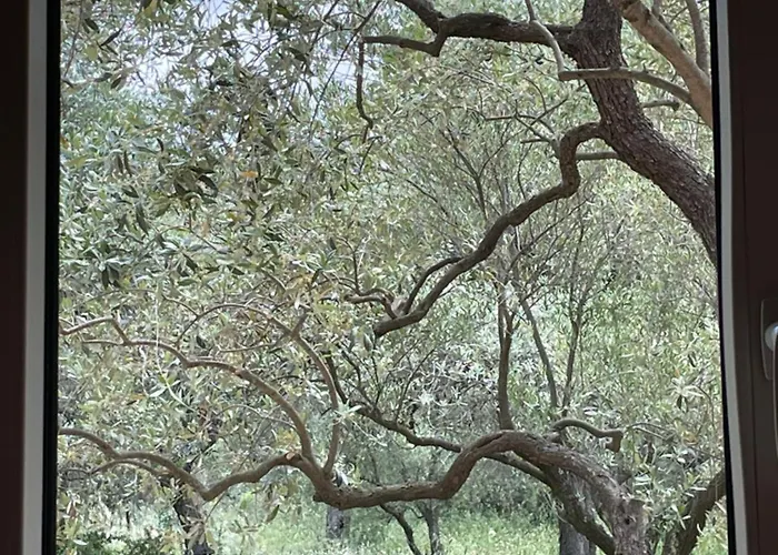 Casa Teresi Thassos * Prínos